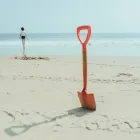 Rotary Lawn Mower
