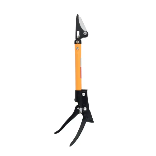 FPLR-21
