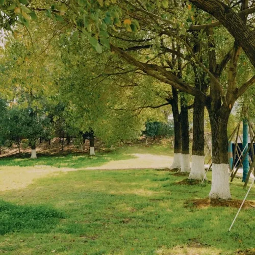 Cordless Grass Trimmer