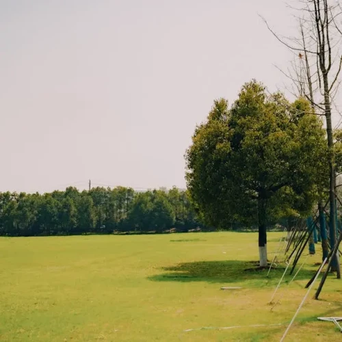 Oscillating Sprinkler