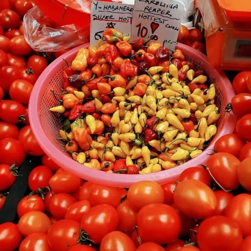 Vegetable Seed Collection