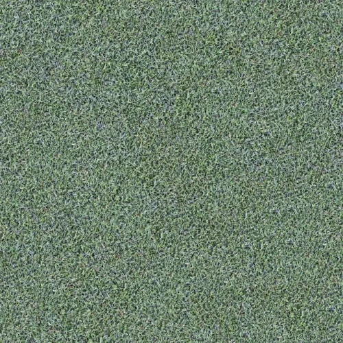 Spring & Summer Lawn Feed (5kg)