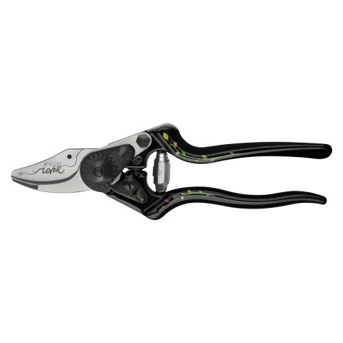 Falcon 6 Ed. Stéphane Marie