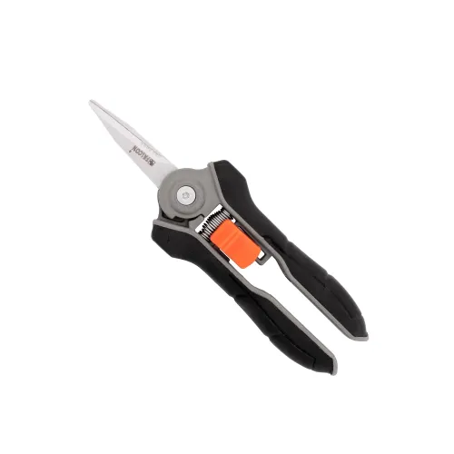 FMTP-01